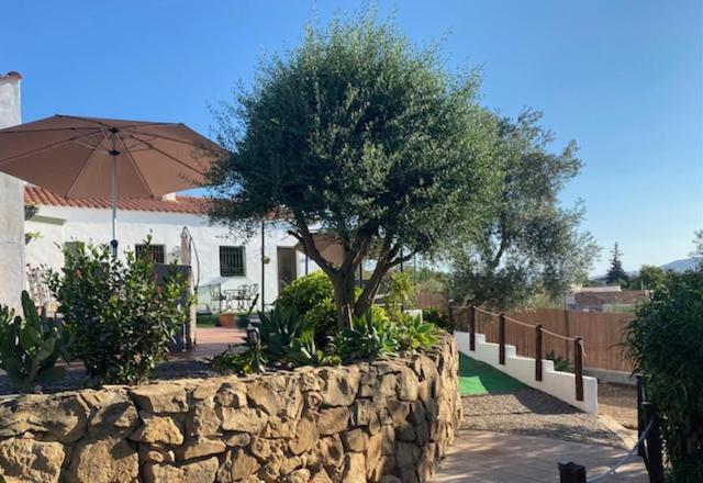 La Casa Palmera - Caminito Del Rey Pizarra Ngoại thất bức ảnh