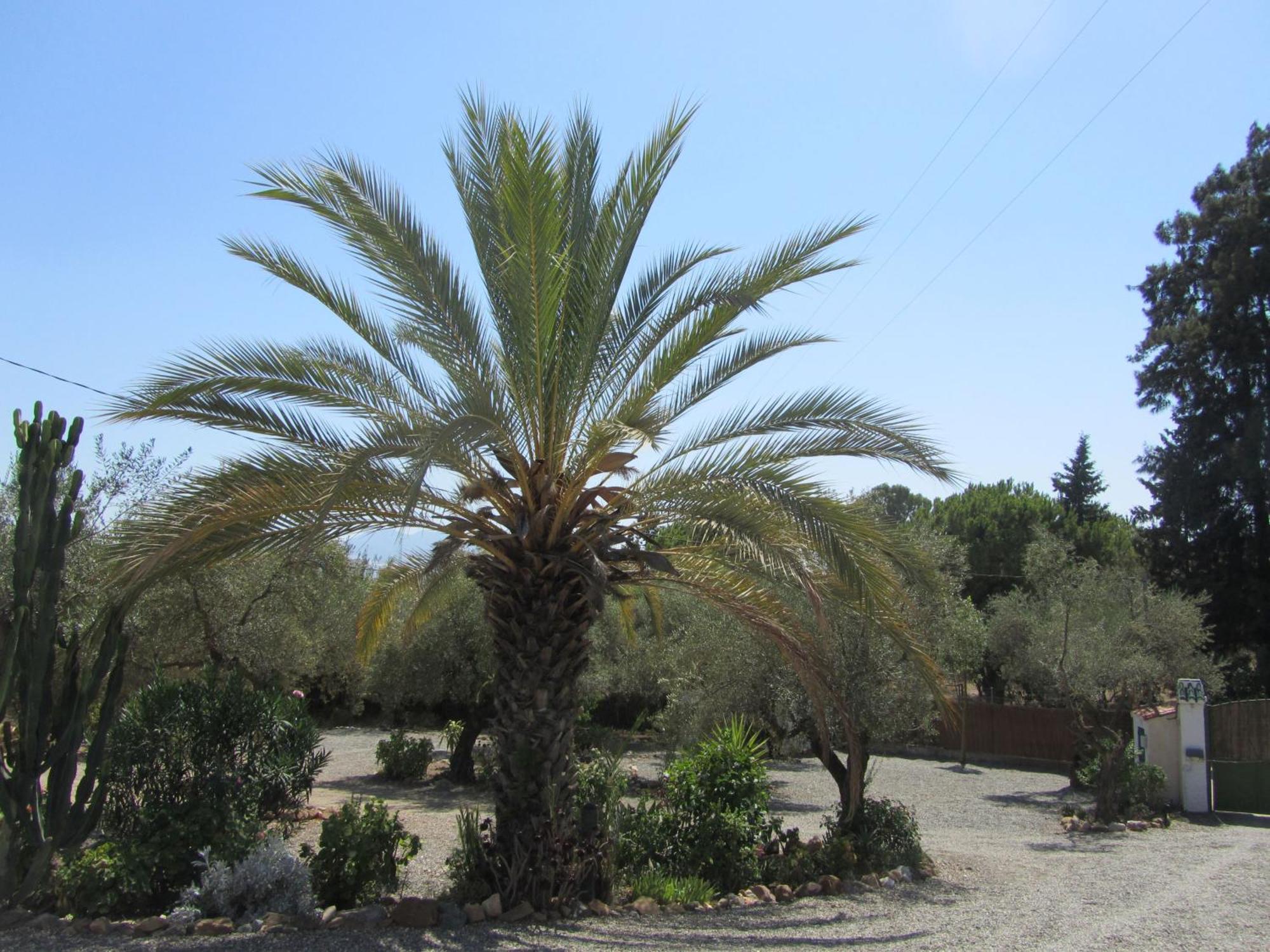 La Casa Palmera - Caminito Del Rey Pizarra Ngoại thất bức ảnh